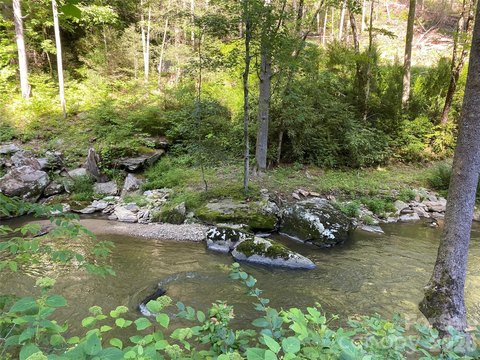 Wooded Land Near Big Laurel