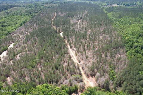 Vossburg, MS Timber Investment Land