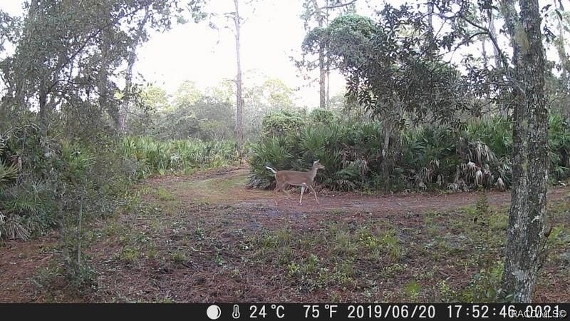 Picture 26