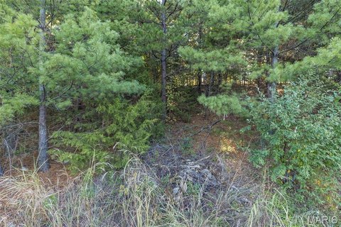 Land, Bonne Terre, MO
