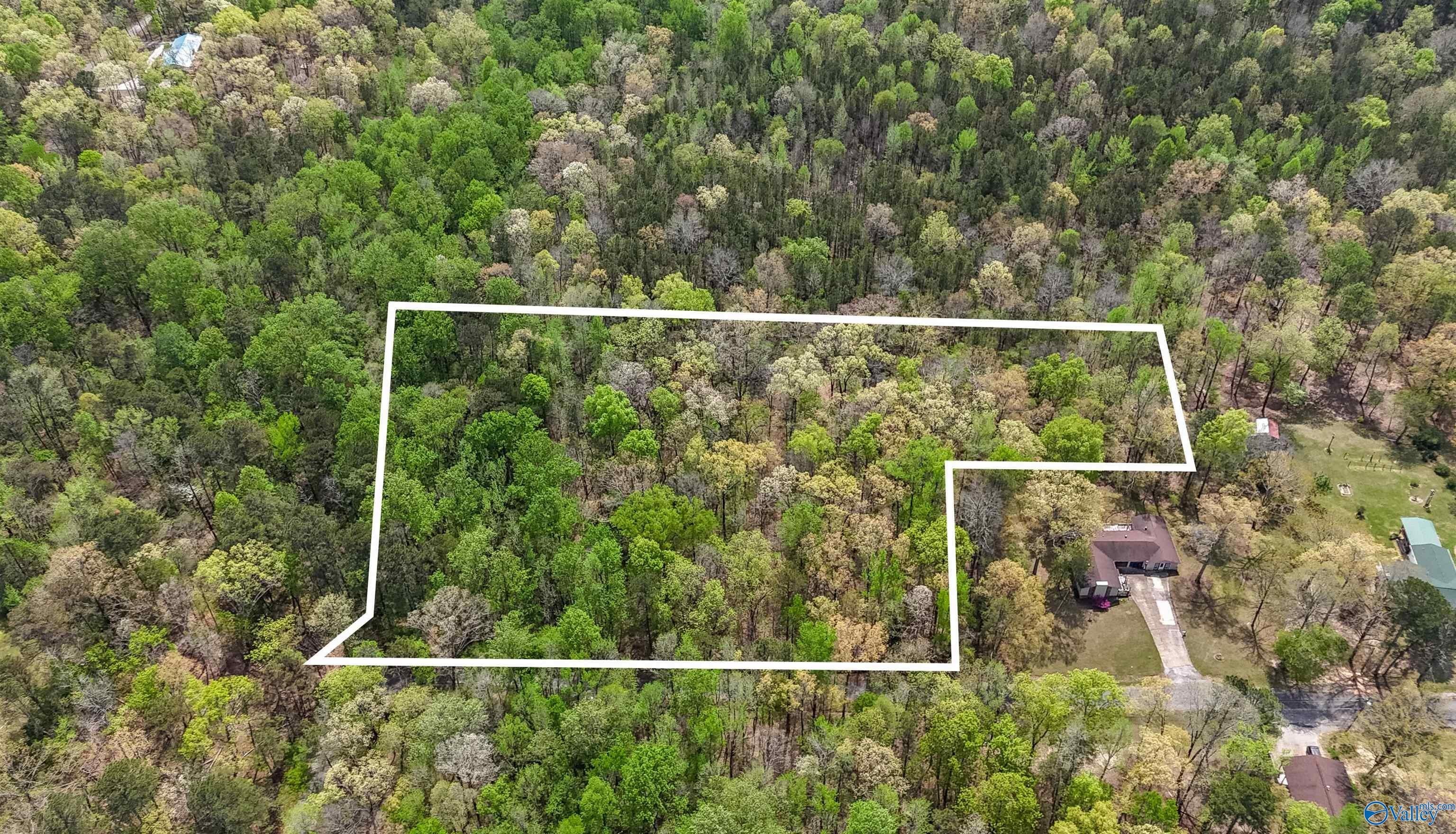 3.3 Acres Wooded Land