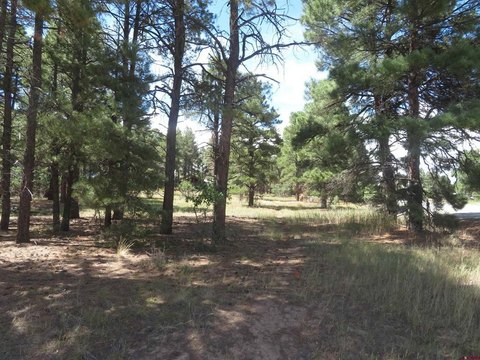 LAND - Pagosa Springs, CO