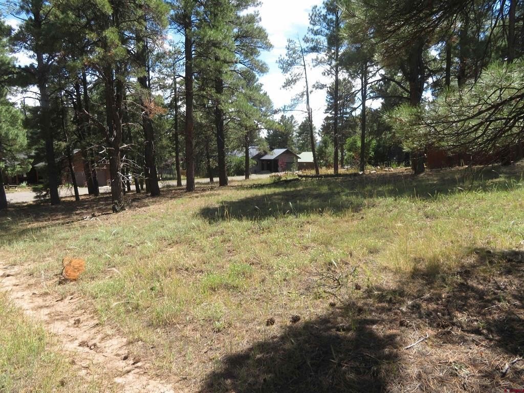 Picture 8