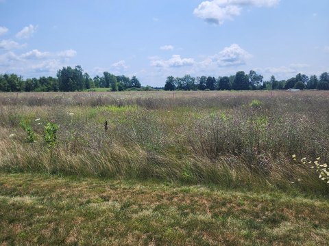 Prime Land Parcel in Ionia