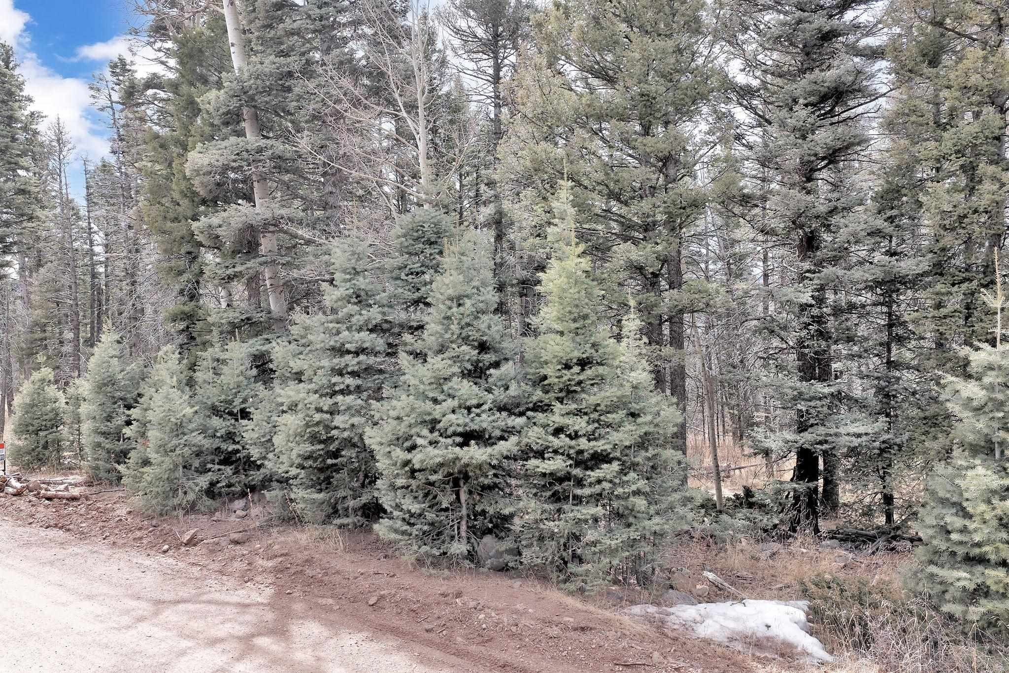 Angel Fire Homesite Opportunity