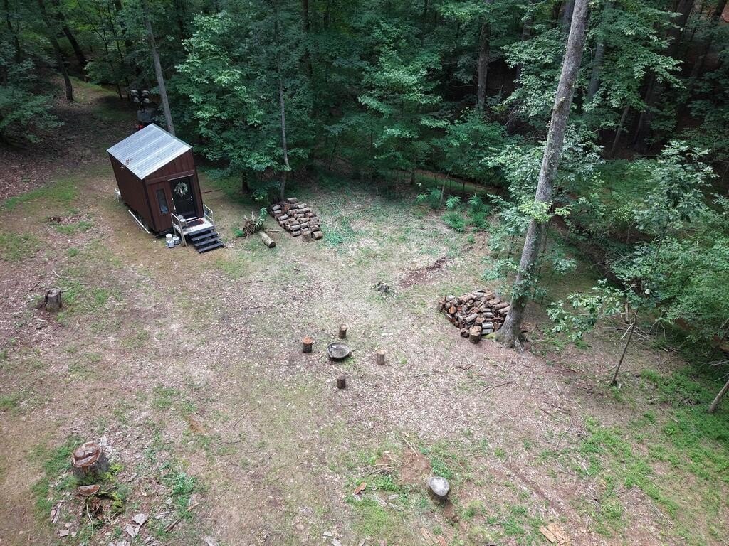 Picture 11