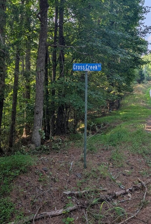 Picture 41