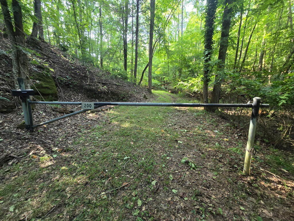 Picture 38