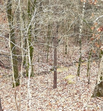 LAND - Broken Bow, OK