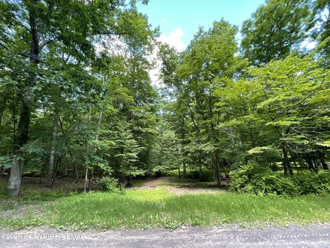 LAND - Cresco, PA