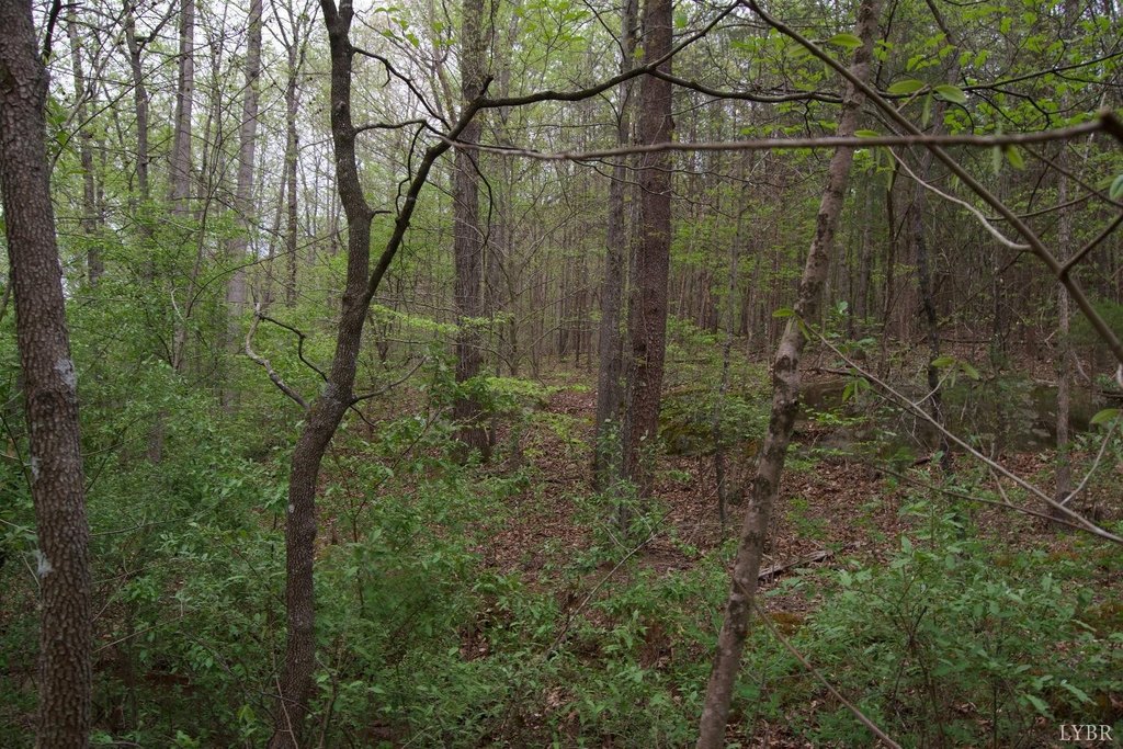 Picture 16