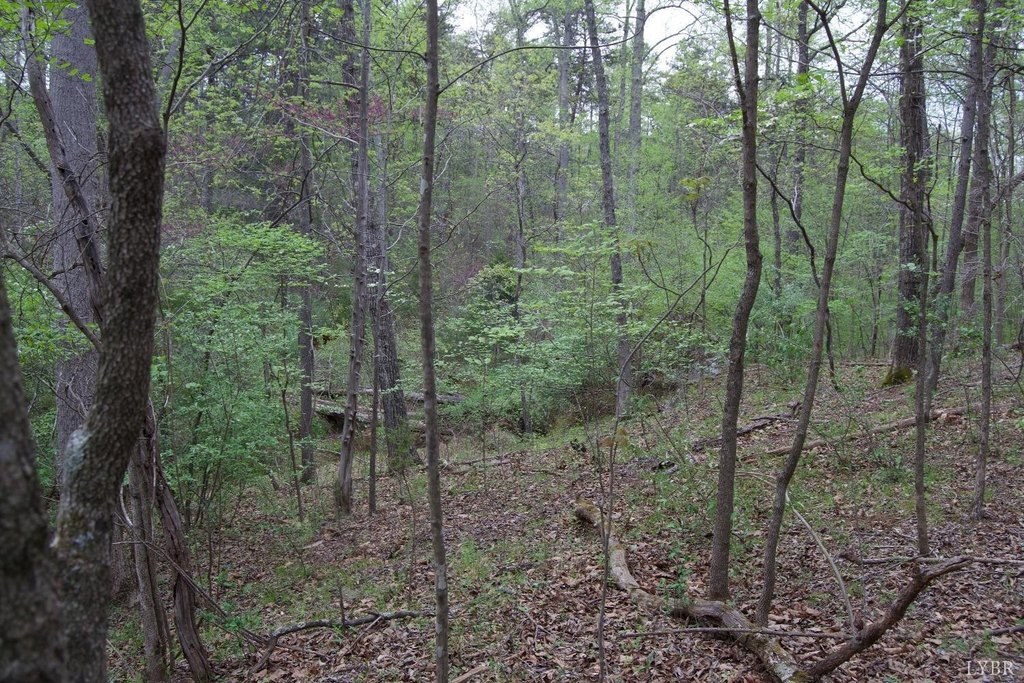 Picture 23