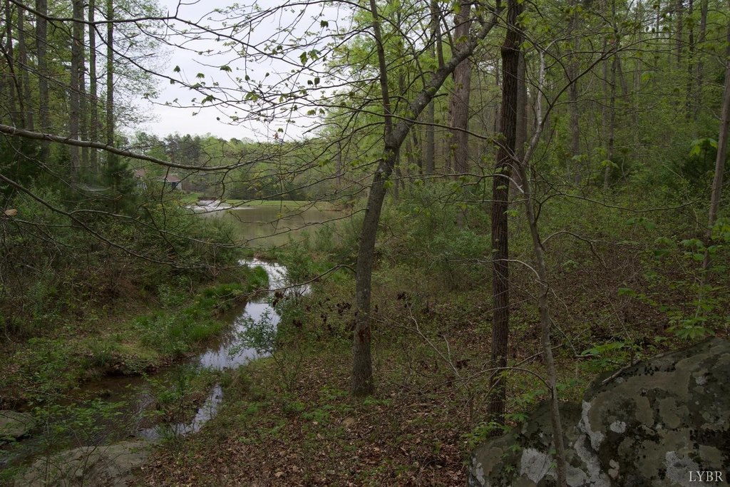 Picture 26
