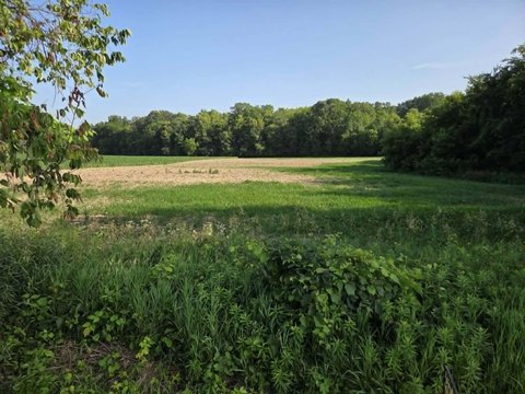 LAND - Greenville, MI