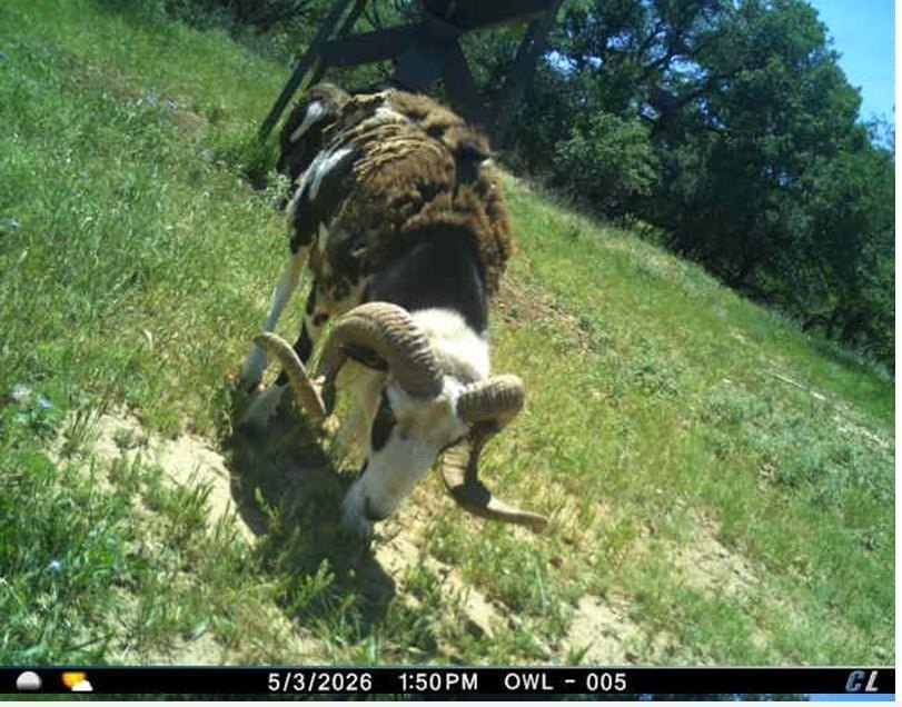 Picture 37