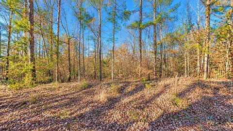 Land, Salem, AL