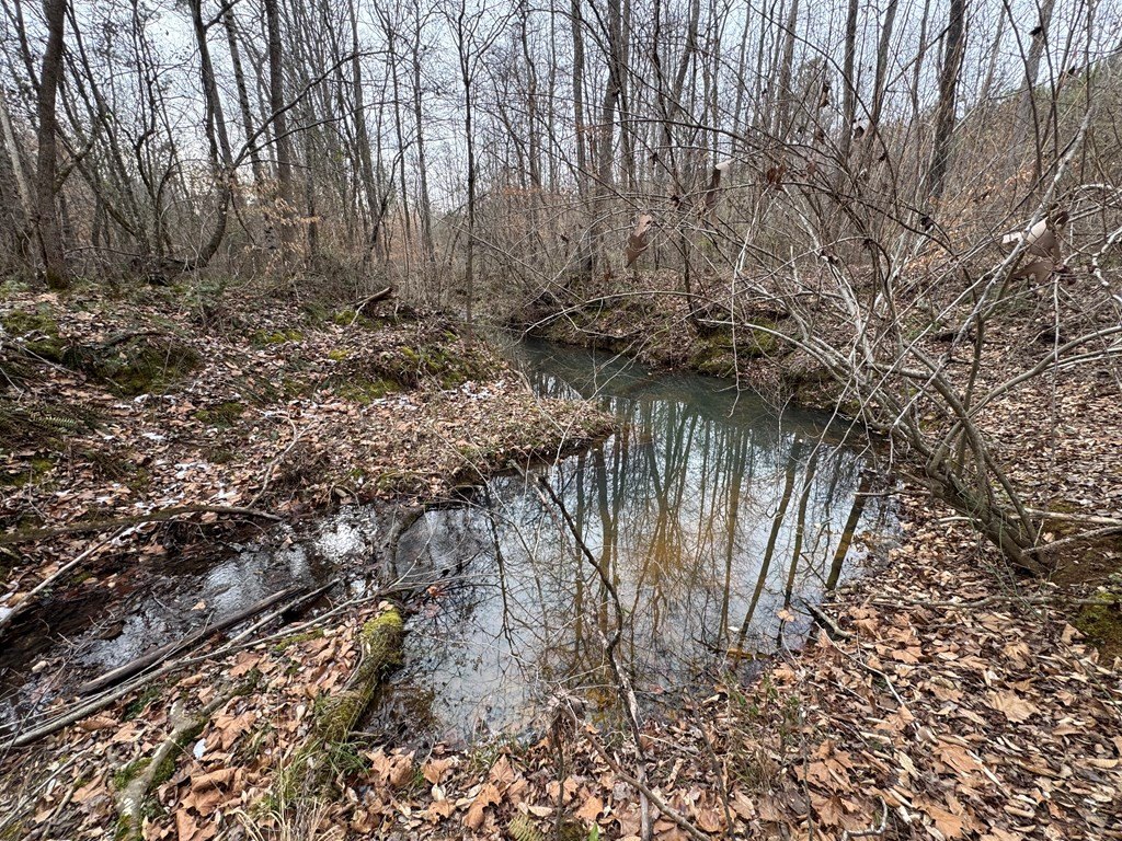 Picture 16