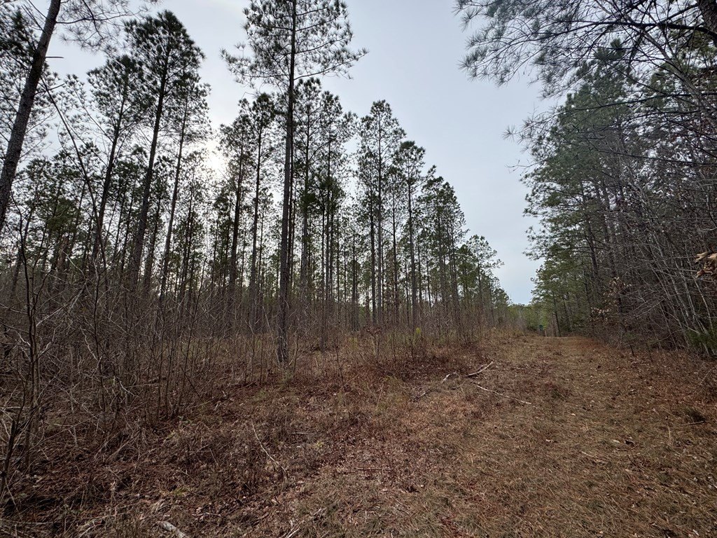 Picture 24