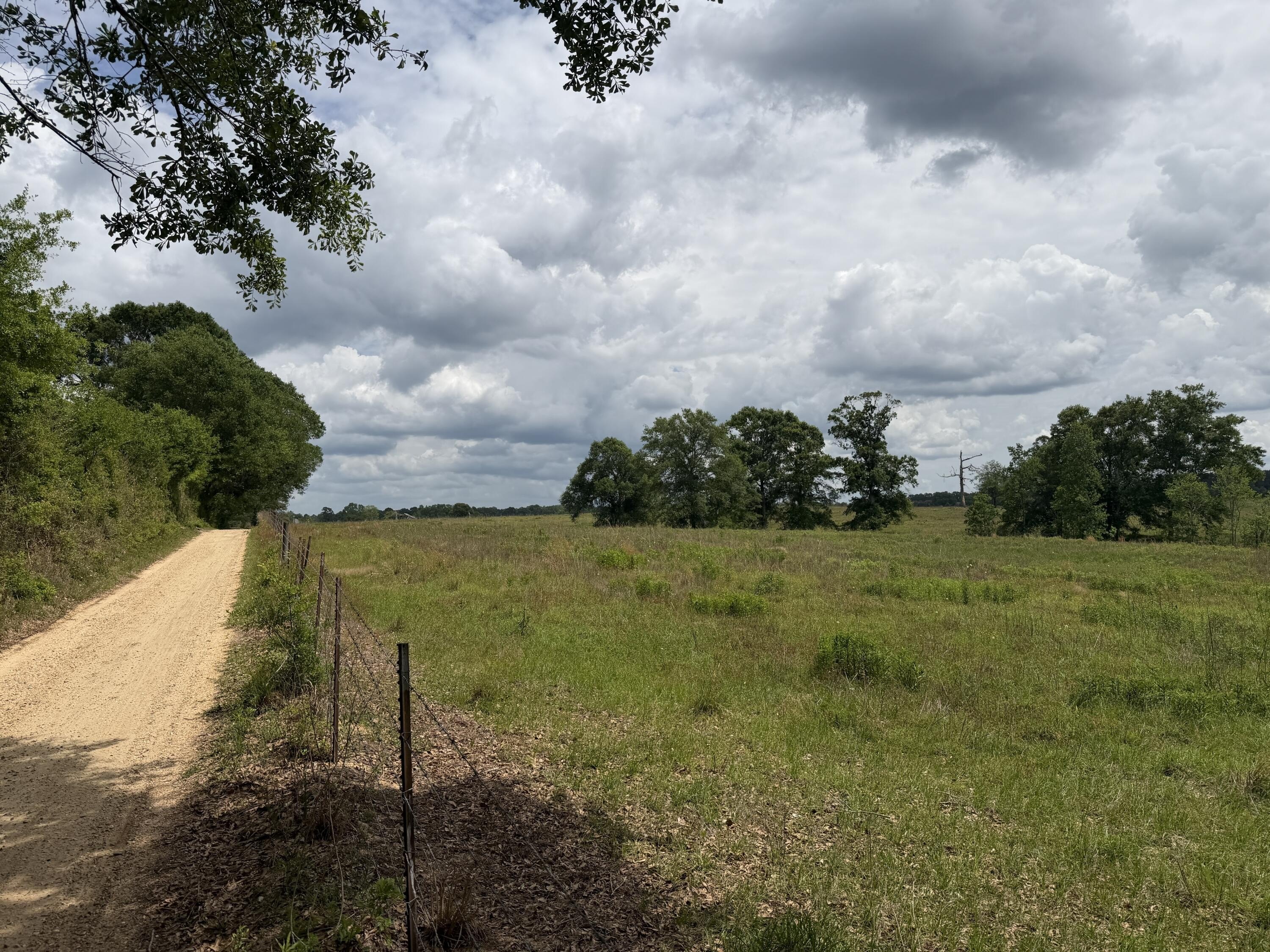 Lumberton Pastureland with Private Pond