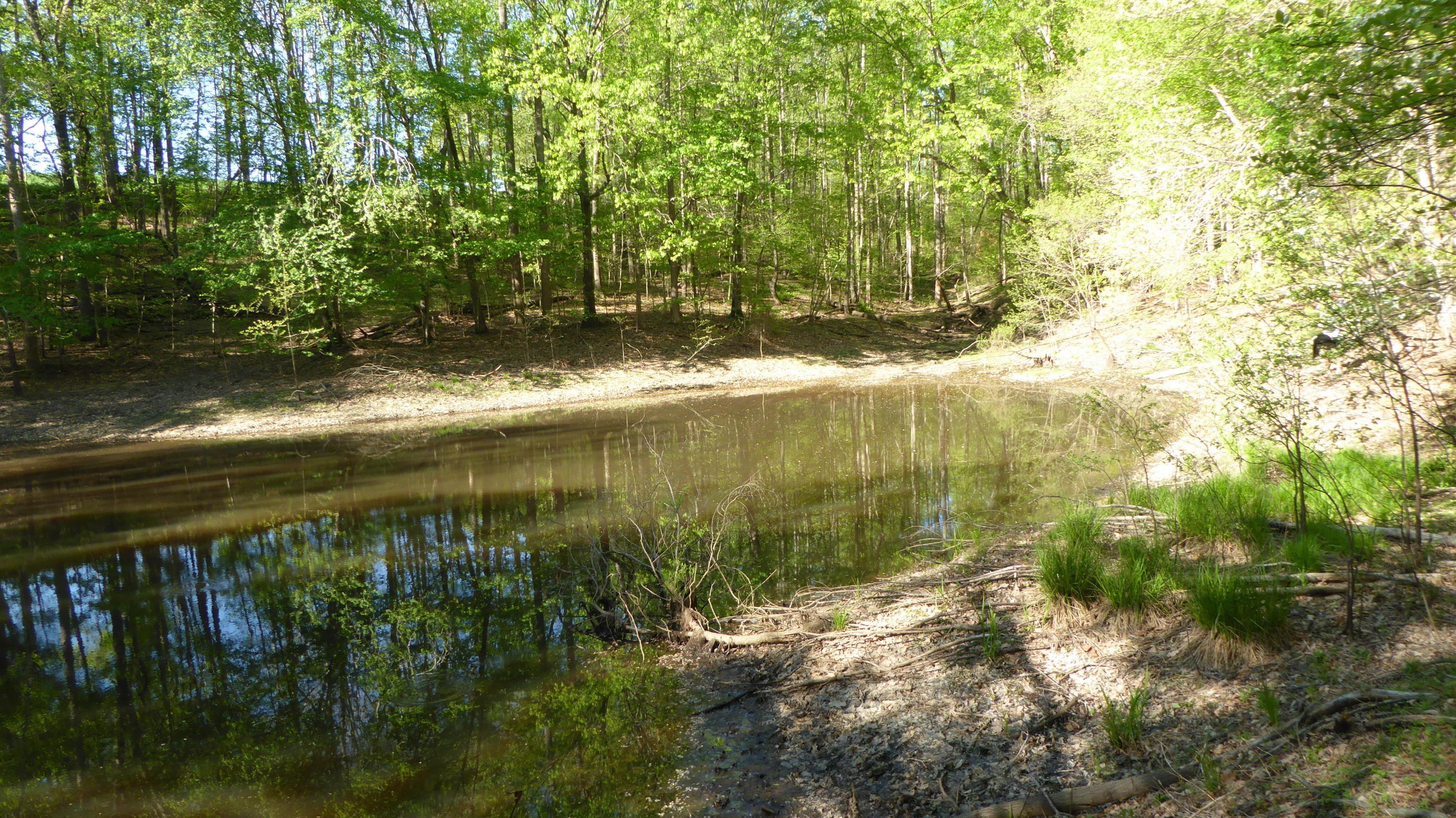 Martinsville Land with Shared Pond