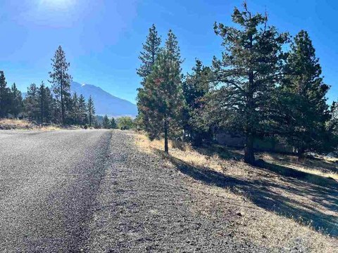 Land with Lake Shastina Views