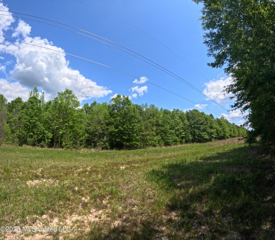 Picture 19