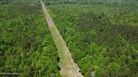 Hunting Land with Internal Trails