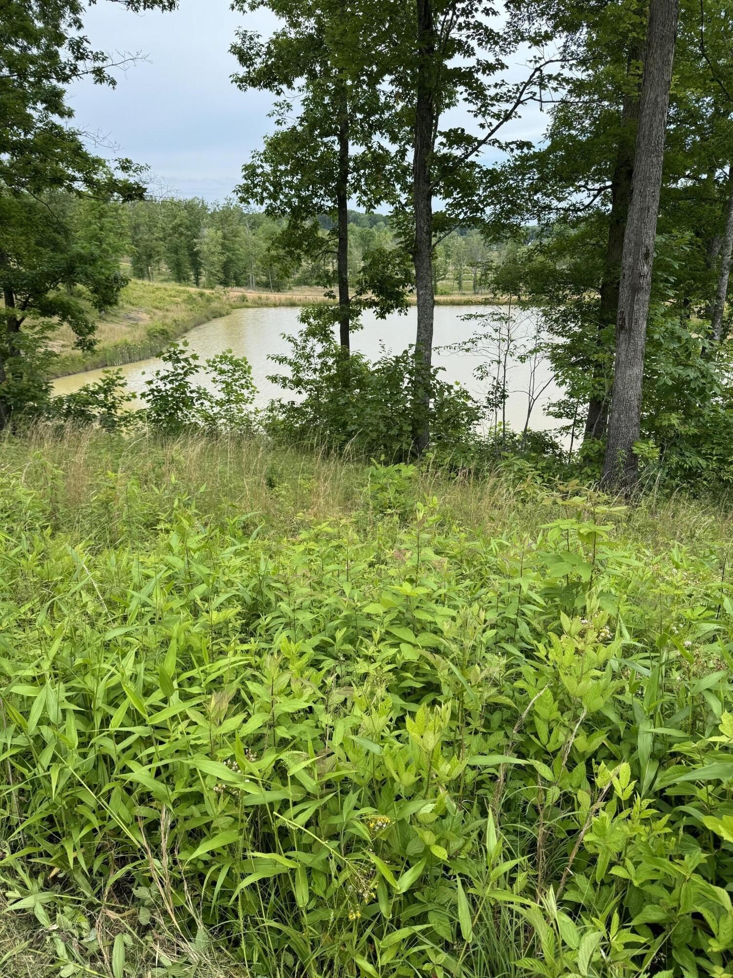 Residential Land in Corbin, KY