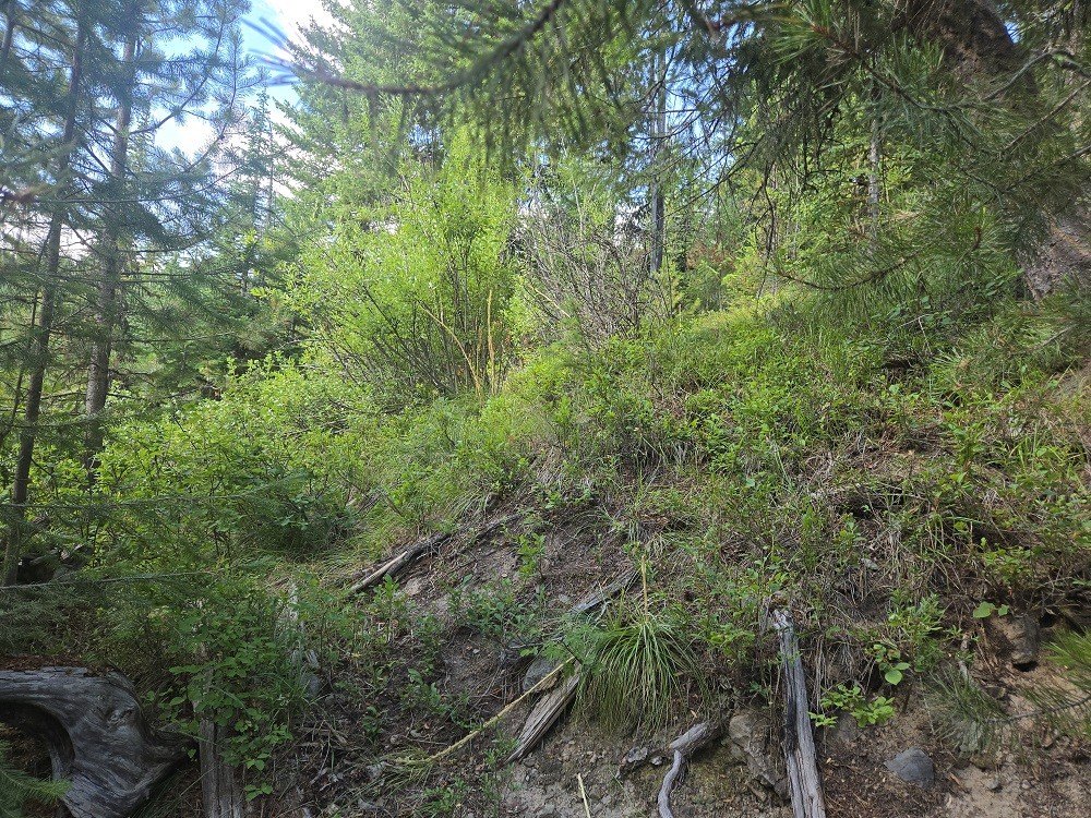 Picture 10