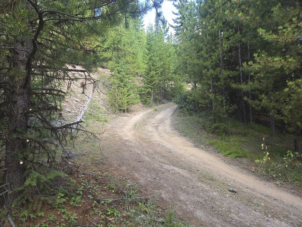 Picture 11