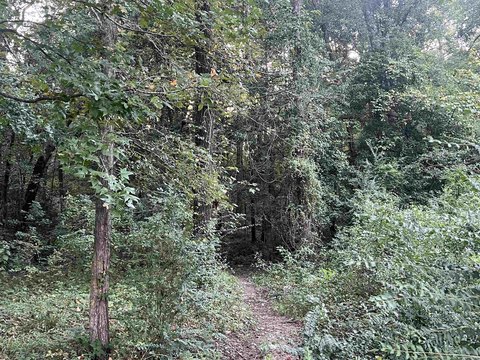 Land in Gilmer, Texas