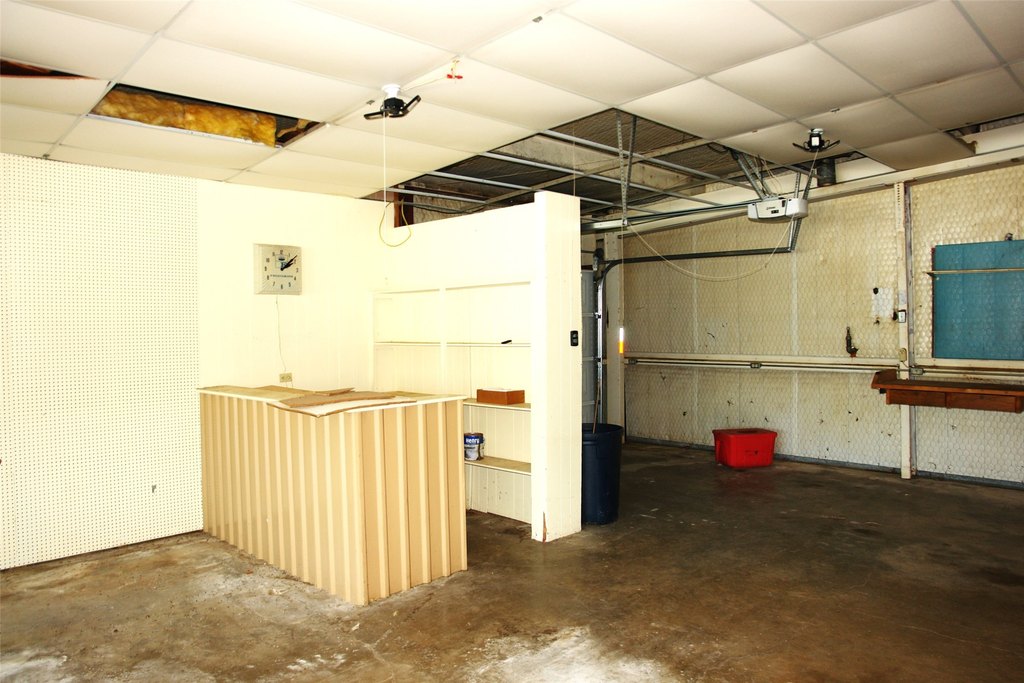 Picture 8