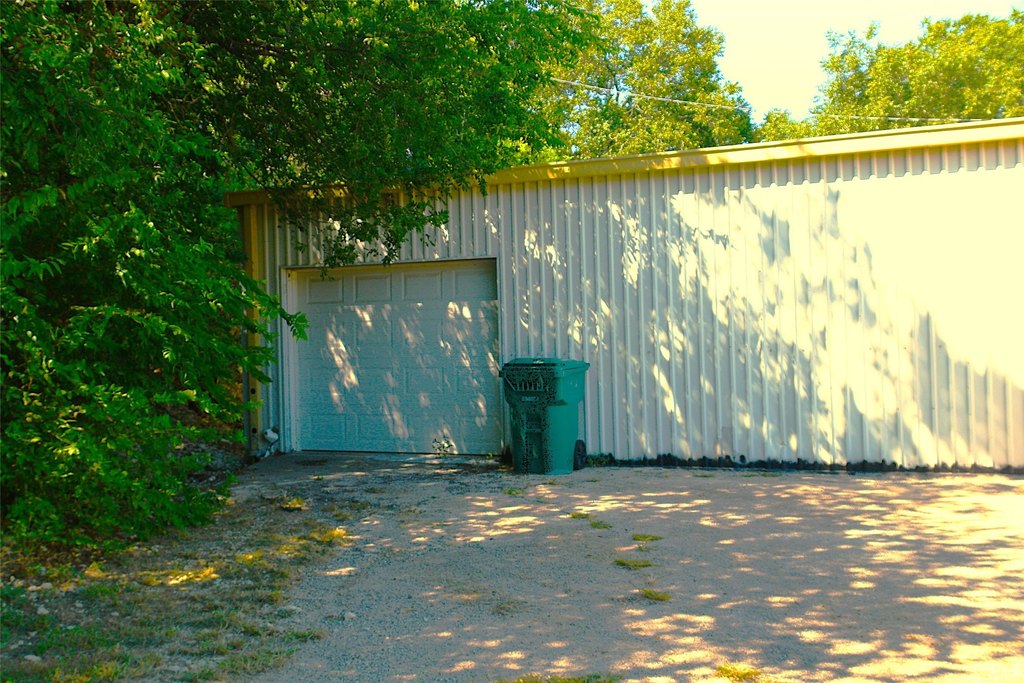 Picture 5