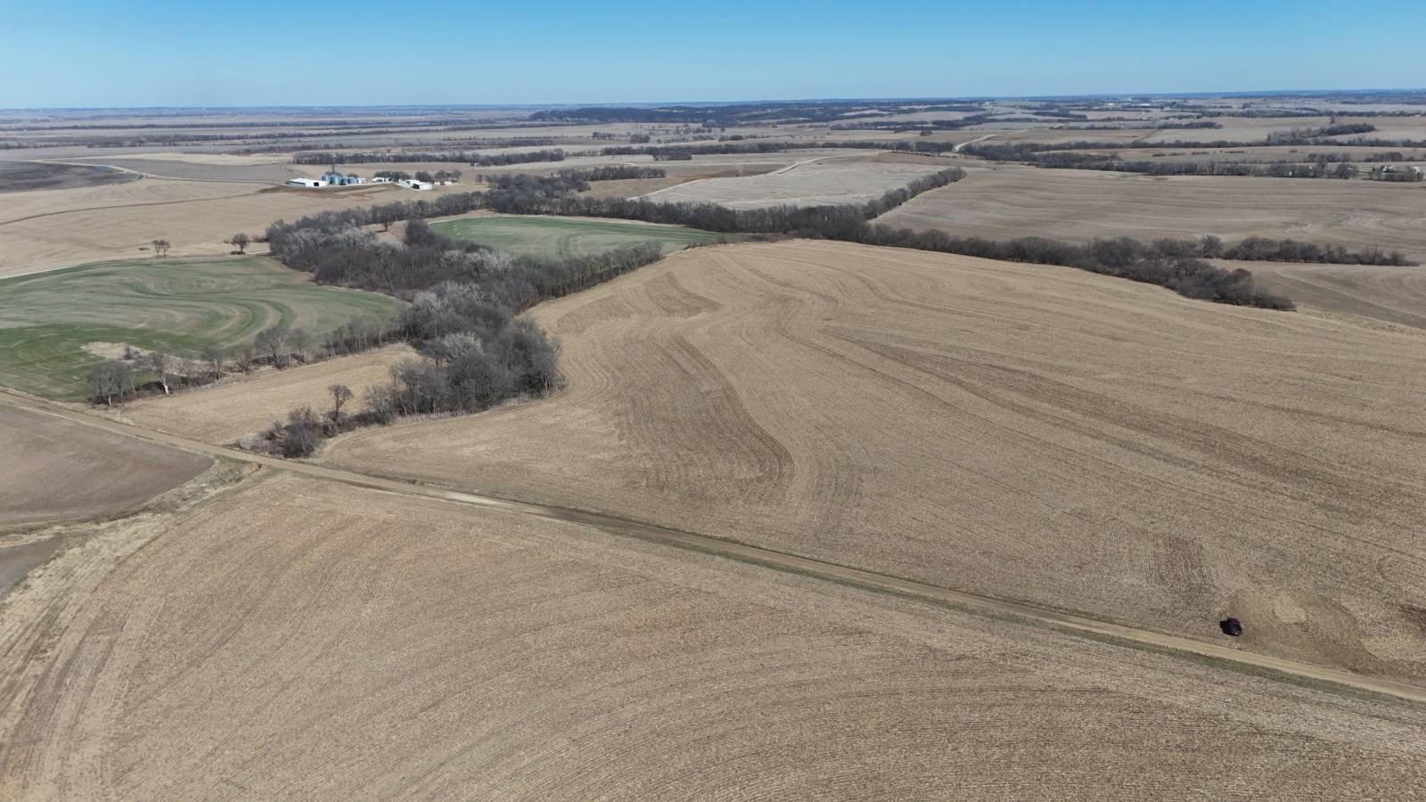Productive Farmland with Hunting Potential