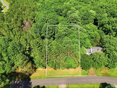 LAND - Elkmont, AL