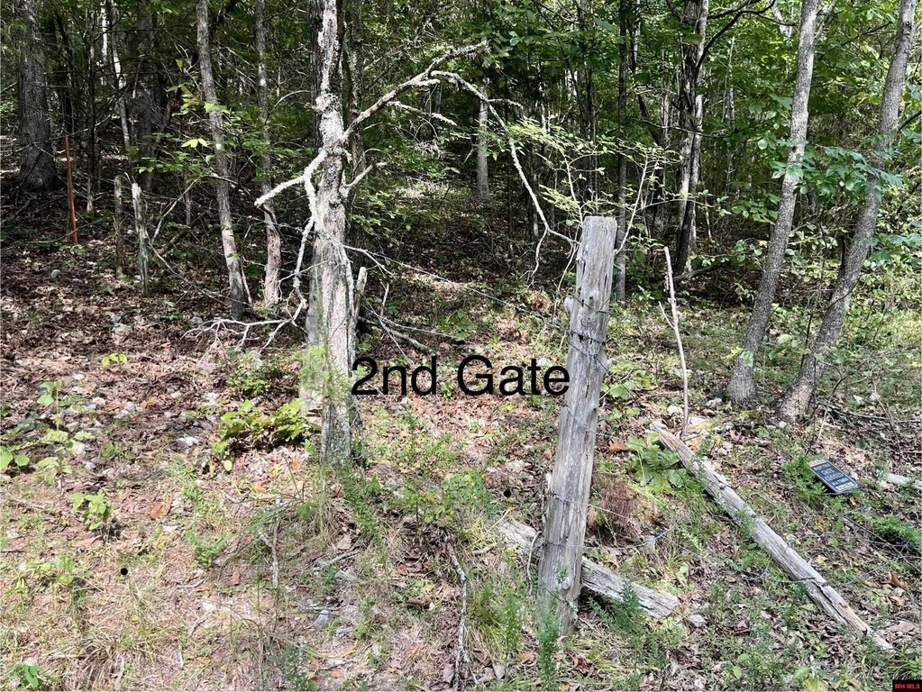 Picture 2