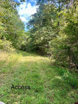 40 Acres of Hunting Land