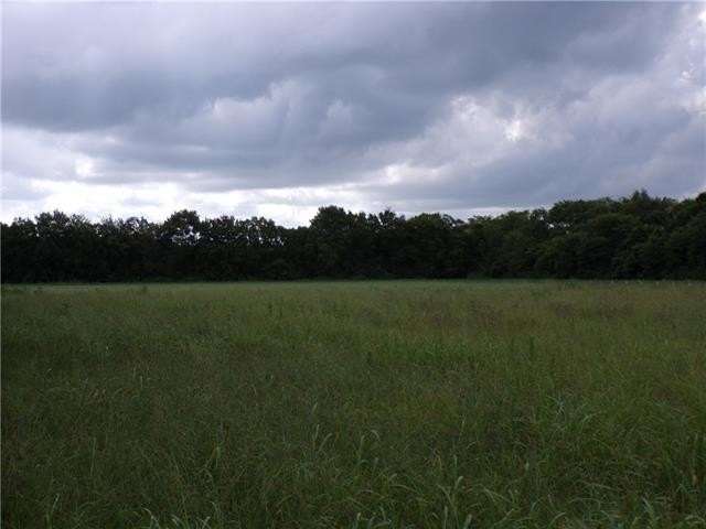 Picture 9