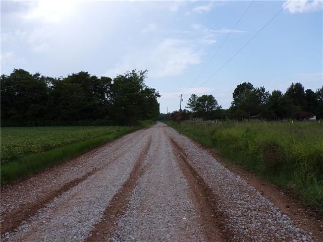 Picture 10