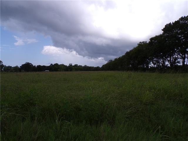 Picture 7