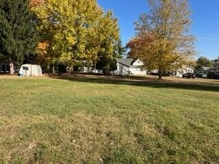 Picture 5