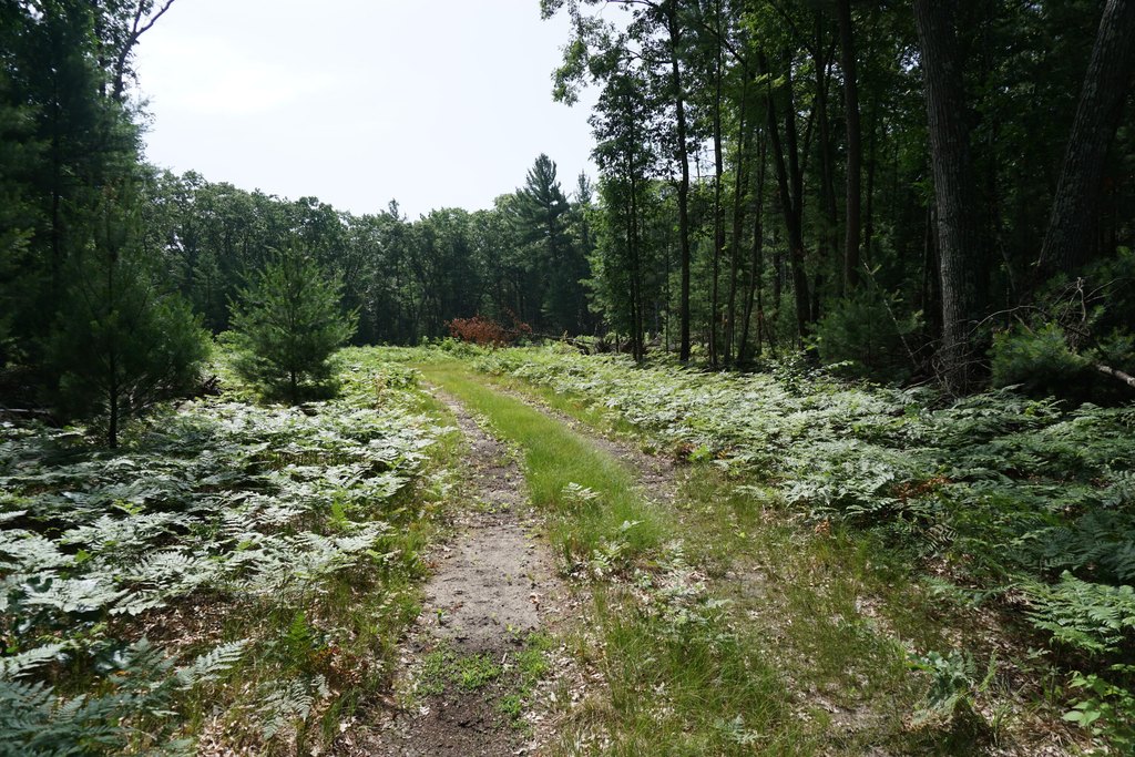 Picture 6