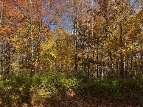 Land, Dover-Foxcroft, ME