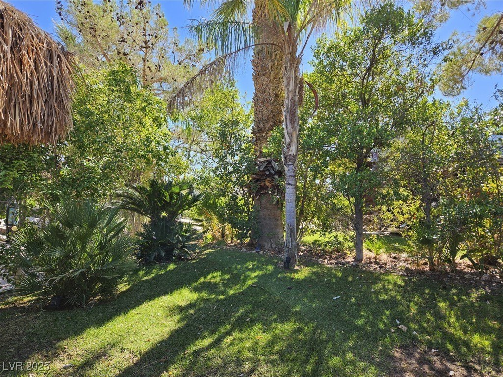 Picture 7