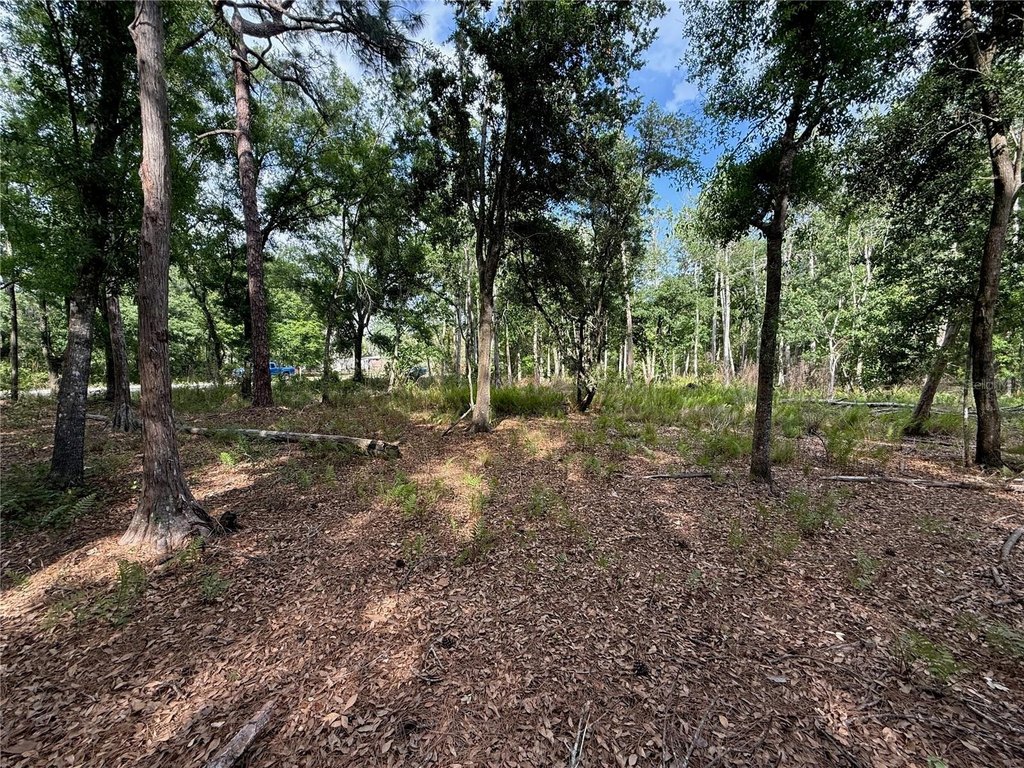 Picture 10