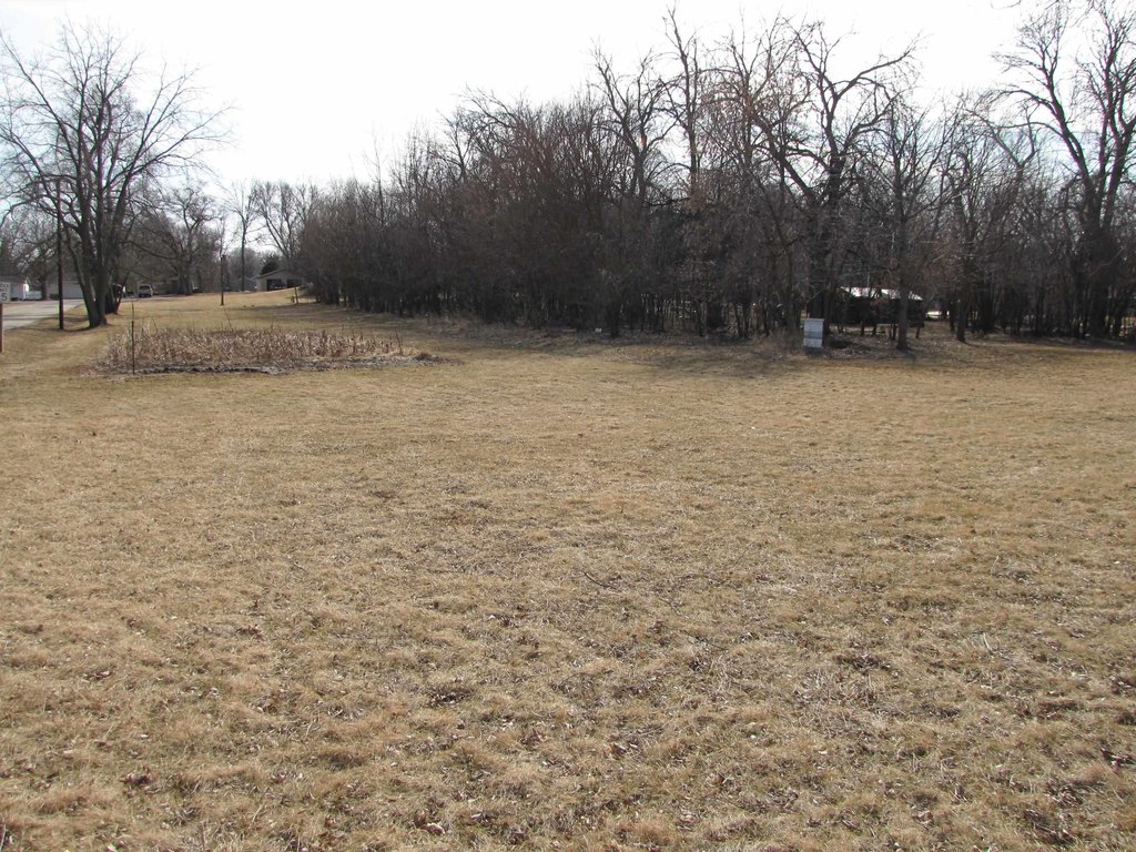 Picture 5