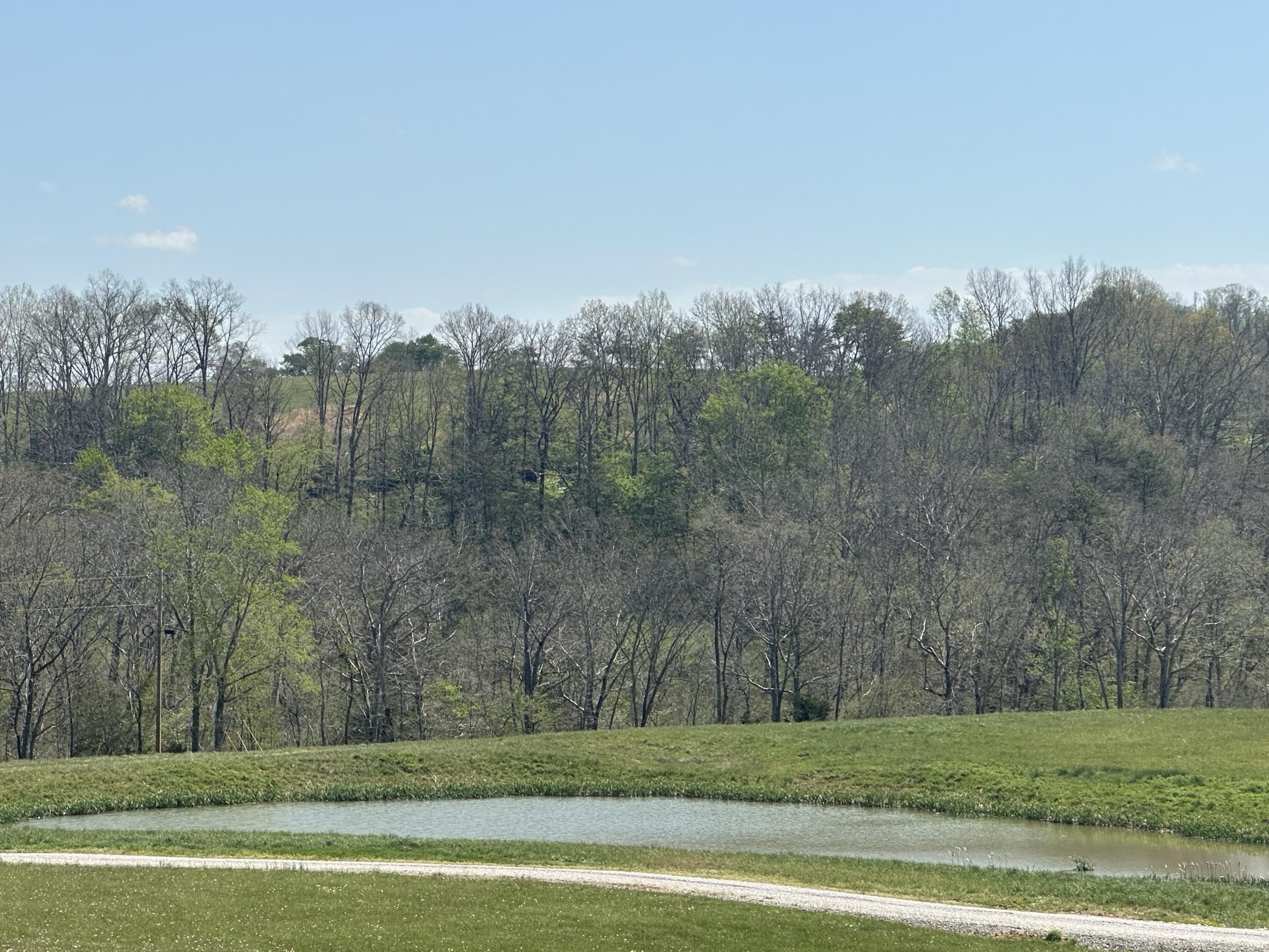 Acreage with Pond and Views
