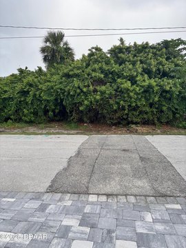 Buildable Lot Near Ponce Inlet