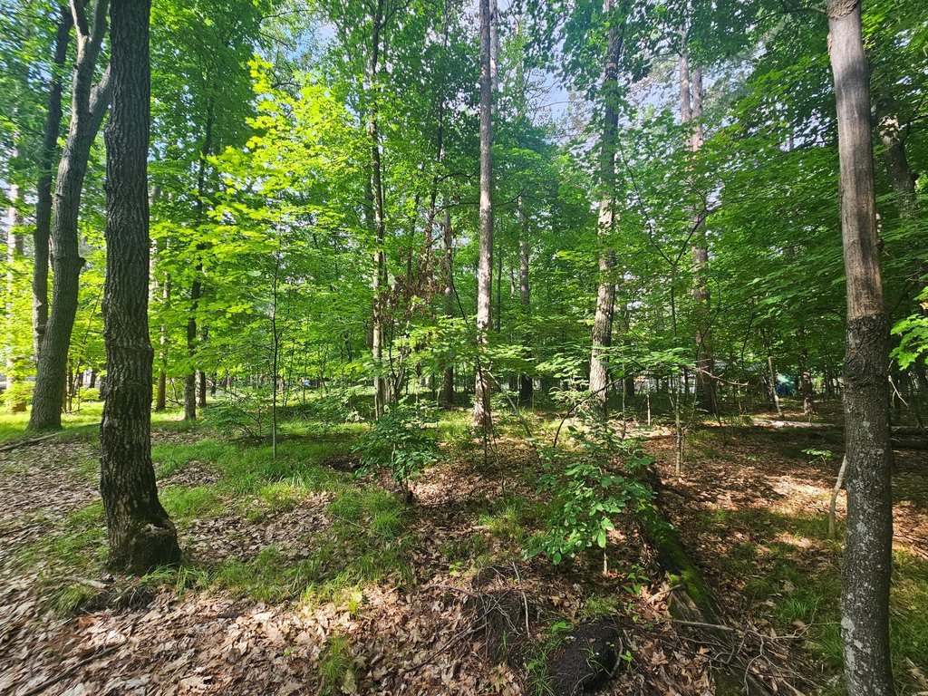Picture 4