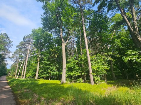LAND - Cross Lake, MN